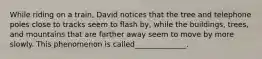 While riding on a train, David notices that the tree and telephone poles close to tracks seem to flash by, while the buildings, trees, and mountains that are farther away seem to move by more slowly. This phenomenon is called______________.