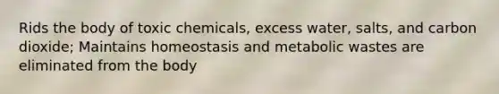 Rids the body of toxic chemicals, excess water, salts, and carbon dioxide; Maintains homeostasis and metabolic wastes are eliminated from the body