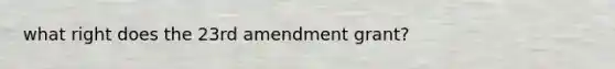 what right does the 23rd amendment grant?