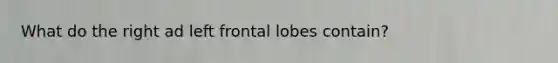 What do the right ad left frontal lobes contain?