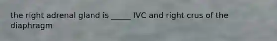 the right adrenal gland is _____ IVC and right crus of the diaphragm