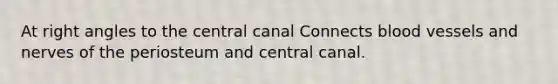 At right angles to the central canal Connects blood vessels and nerves of the periosteum and central canal.