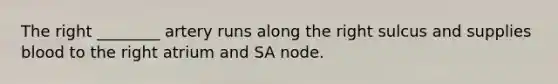 The right ________ artery runs along the right sulcus and supplies blood to the right atrium and SA node.