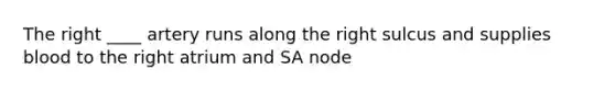 The right ____ artery runs along the right sulcus and supplies blood to the right atrium and SA node