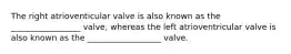 The right atrioventicular valve is also known as the _________________ valve, whereas the left atrioventricular valve is also known as the __________________ valve.