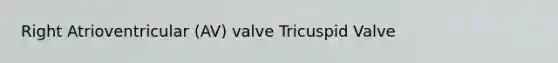 Right Atrioventricular (AV) valve Tricuspid Valve