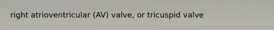 right atrioventricular (AV) valve, or tricuspid valve