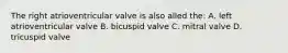 The right atrioventricular valve is also alled the: A. left atrioventricular valve B. bicuspid valve C. mitral valve D. tricuspid valve