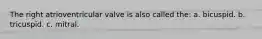 The right atrioventricular valve is also called the: a. bicuspid. b. tricuspid. c. mitral.