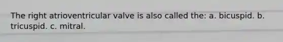 The right atrioventricular valve is also called the: a. bicuspid. b. tricuspid. c. mitral.