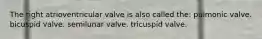The right atrioventricular valve is also called the: pulmonic valve. bicuspid valve. semilunar valve. tricuspid valve.