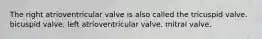 The right atrioventricular valve is also called the tricuspid valve. bicuspid valve. left atrioventricular valve. mitral valve.