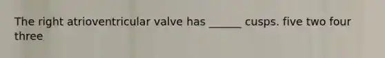 The right atrioventricular valve has ______ cusps. five two four three