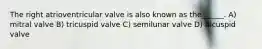 The right atrioventricular valve is also known as the______. A) mitral valve B) tricuspid valve C) semilunar valve D) bicuspid valve