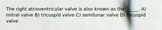 The right atrioventricular valve is also known as the______. A) mitral valve B) tricuspid valve C) semilunar valve D) bicuspid valve