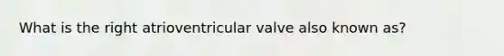 What is the right atrioventricular valve also known as?