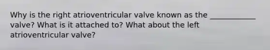 Why is the right atrioventricular valve known as the ____________ valve? What is it attached to? What about the left atrioventricular valve?