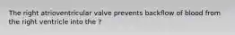 The right atrioventricular valve prevents backflow of blood from the right ventricle into the ?