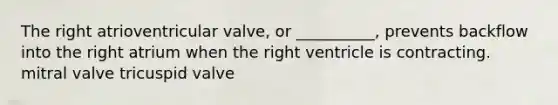 The right atrioventricular valve, or __________, prevents backflow into the right atrium when the right ventricle is contracting. mitral valve tricuspid valve