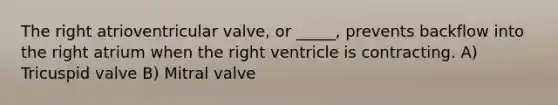 The right atrioventricular valve, or _____, prevents backflow into the right atrium when the right ventricle is contracting. A) Tricuspid valve B) Mitral valve