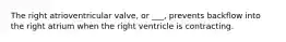 The right atrioventricular valve, or ___, prevents backflow into the right atrium when the right ventricle is contracting.