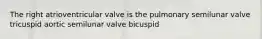 The right atrioventricular valve is the pulmonary semilunar valve tricuspid aortic semilunar valve bicuspid