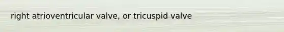 right atrioventricular valve, or tricuspid valve