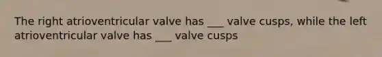 The right atrioventricular valve has ___ valve cusps, while the left atrioventricular valve has ___ valve cusps