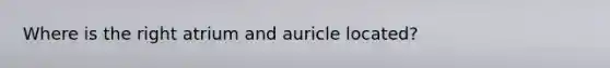 Where is the right atrium and auricle located?