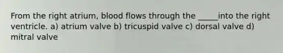 From the right atrium, blood flows through the _____into the right ventricle. a) atrium valve b) tricuspid valve c) dorsal valve d) mitral valve