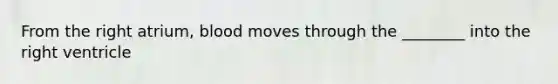From the right atrium, blood moves through the ________ into the right ventricle