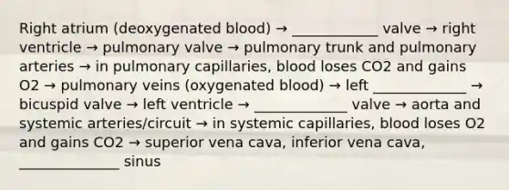 Right atrium (deoxygenated blood) → ____________ valve → right ventricle → pulmonary valve → pulmonary trunk and pulmonary arteries → in pulmonary capillaries, blood loses CO2 and gains O2 → pulmonary veins (oxygenated blood) → left _____________ → bicuspid valve → left ventricle → _____________ valve → aorta and systemic arteries/circuit → in systemic capillaries, blood loses O2 and gains CO2 → superior vena cava, inferior vena cava, ______________ sinus