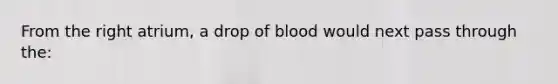 From the right atrium, a drop of blood would next pass through the: