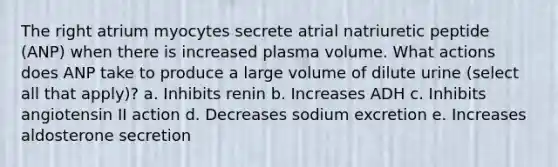 The right atrium myocytes secrete atrial natriuretic peptide (ANP) when there is increased plasma volume. What actions does ANP take to produce a large volume of dilute urine (select all that apply)? a. Inhibits renin b. Increases ADH c. Inhibits angiotensin II action d. Decreases sodium excretion e. Increases aldosterone secretion