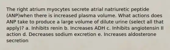 The right atrium myocytes secrete atrial natriuretic peptide (ANP)when there is increased plasma volume. What actions does ANP take to produce a large volume of dilute urine (select all that apply)? a. Inhibits renin b. Increases ADH c. Inhibits angiotensin II action d. Decreases sodium excretion e. Increases aldosterone secretion