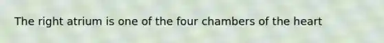 The right atrium is one of the four chambers of the heart