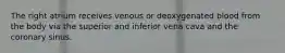 The right atrium receives venous or deoxygenated blood from the body via the superior and inferior vena cava and the coronary sinus.