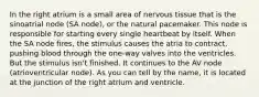 In the right atrium is a small area of nervous tissue that is the sinoatrial node (SA node), or the natural pacemaker. This node is responsible for starting every single heartbeat by itself. When the SA node fires, the stimulus causes the atria to contract, pushing blood through the one-way valves into the ventricles. But the stimulus isn't finished. It continues to the AV node (atrioventricular node). As you can tell by the name, it is located at the junction of the right atrium and ventricle.