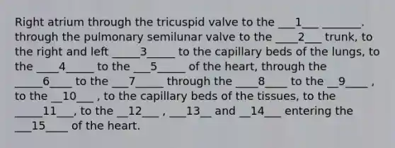 Right atrium through the tricuspid valve to the ___1___ _______. through the pulmonary semilunar valve to the ____2___ trunk, to the right and left _____3_____ to the capillary beds of the lungs, to the ____4_____ to the ___5_____ of the heart, through the _____6____ to the ___7_____ through the ____8____ to the __9____ , to the __10___ , to the capillary beds of the tissues, to the _____11___, to the __12___ , ___13__ and __14___ entering the ___15____ of the heart.