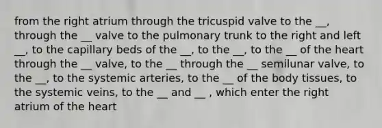 from the right atrium through the tricuspid valve to the __, through the __ valve to the pulmonary trunk to the right and left __, to the capillary beds of the __, to the __, to the __ of the heart through the __ valve, to the __ through the __ semilunar valve, to the __, to the systemic arteries, to the __ of the body tissues, to the systemic veins, to the __ and __ , which enter the right atrium of the heart