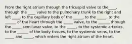 From the right atrium through the tricuspid valve to the____, through the ____ valve to the pulmonary trunk to the right and left ____, to the capillary beds of the _____, to the _____, to the ______ of the heart through the _____ valve, to the ______ through the _____ semilunar valve, to the _____, to the systemic arteries, to the ______ of the body tissues, to the systemic veins, to the _____ and _____, which enters the right atrium of the heart.