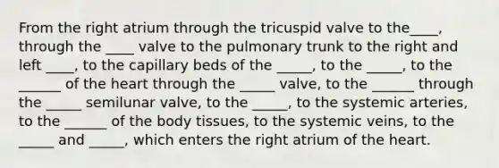 From the right atrium through the tricuspid valve to the____, through the ____ valve to the pulmonary trunk to the right and left ____, to the capillary beds of the _____, to the _____, to the ______ of the heart through the _____ valve, to the ______ through the _____ semilunar valve, to the _____, to the systemic arteries, to the ______ of the body tissues, to the systemic veins, to the _____ and _____, which enters the right atrium of the heart.