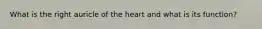 What is the right auricle of the heart and what is its function?