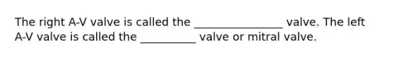 The right A-V valve is called the ________________ valve. The left A-V valve is called the __________ valve or mitral valve.