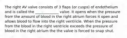 The right AV valve consists of 3 flaps (or cusps) of endothelium and is called the _____________ valve. It opens when the pressure from the amount of blood in the right atrium forces it open and allows blood to flow into the right ventricle. When the pressure from the blood in the right ventricle exceeds the pressure of blood in the right atrium the the valve is forced to snap shut.