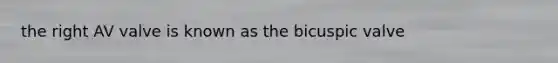 the right AV valve is known as the bicuspic valve