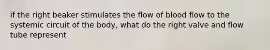 if the right beaker stimulates the flow of blood flow to the systemic circuit of the body, what do the right valve and flow tube represent