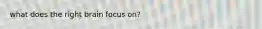 what does the right brain focus on?