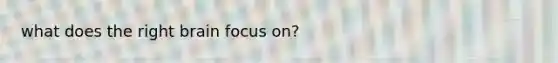 what does the right brain focus on?