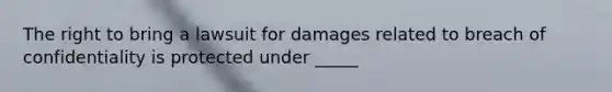 The right to bring a lawsuit for damages related to breach of confidentiality is protected under _____